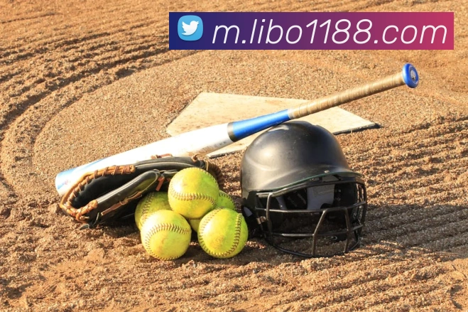 libo立博英国APP 高清赛事图